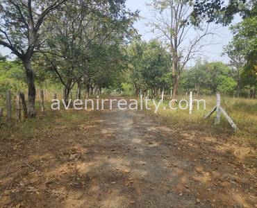 farm-plots-avenirrealty