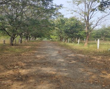 farm-plots-resale